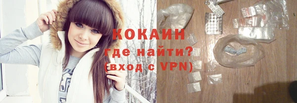 дмт Гусев