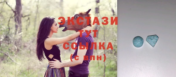 дмт Гусев