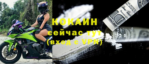 дмт Гусев