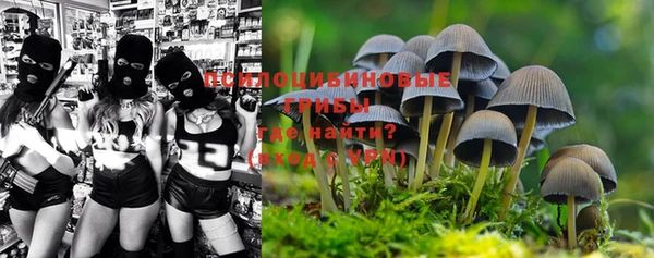 тгк Дмитров