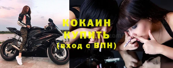 дмт Гусев